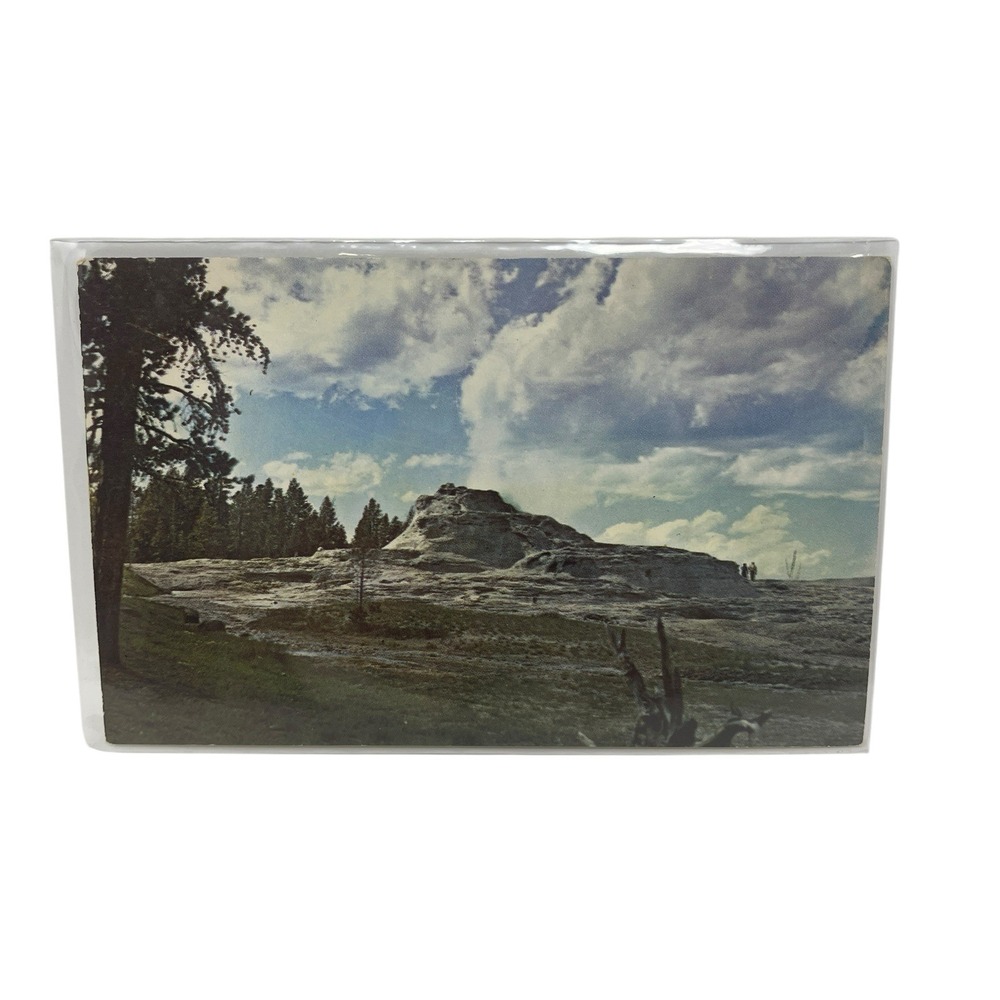 Castle Geyser‎ Cone at Yellowstone National Park Vintage Plastichrome Postcard